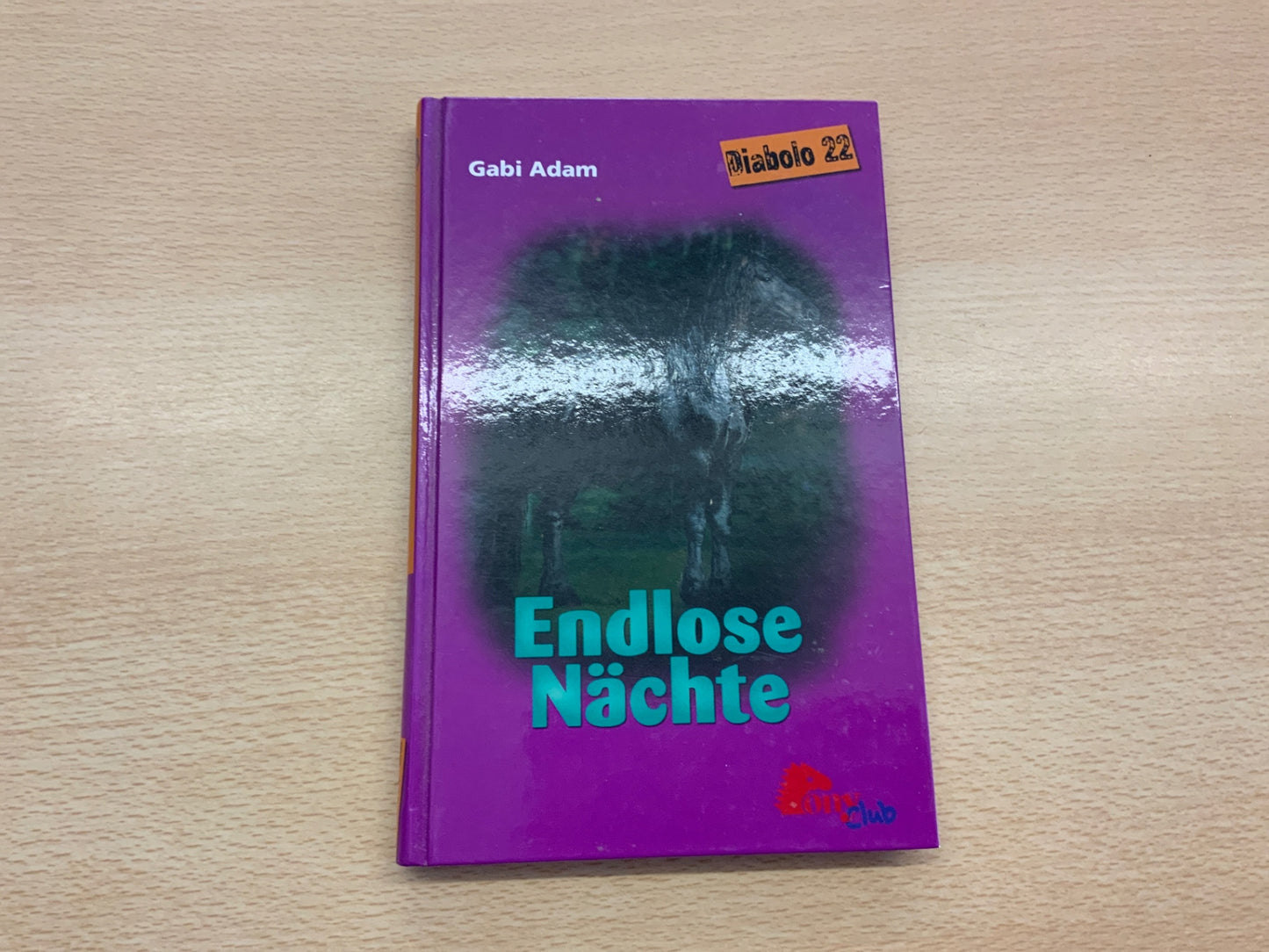 Roman endlose Nächte Lila und Blau