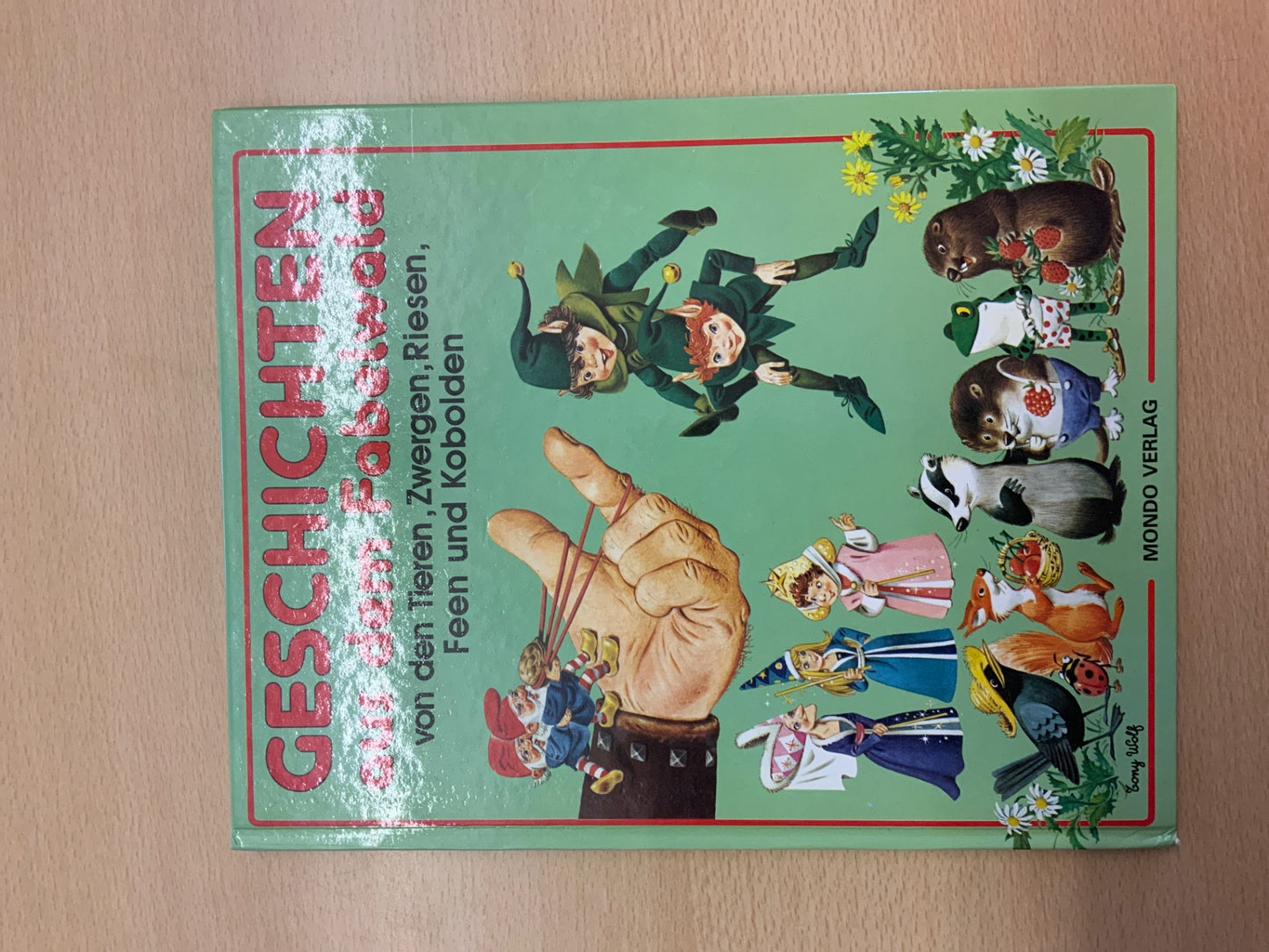 Mondo Verlag Buch Geschichten aus dem Fabelwald Grün