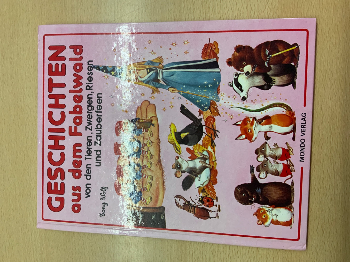 MONDO VERLAG Buch Geschichten aus dem Fabelwald Bunt