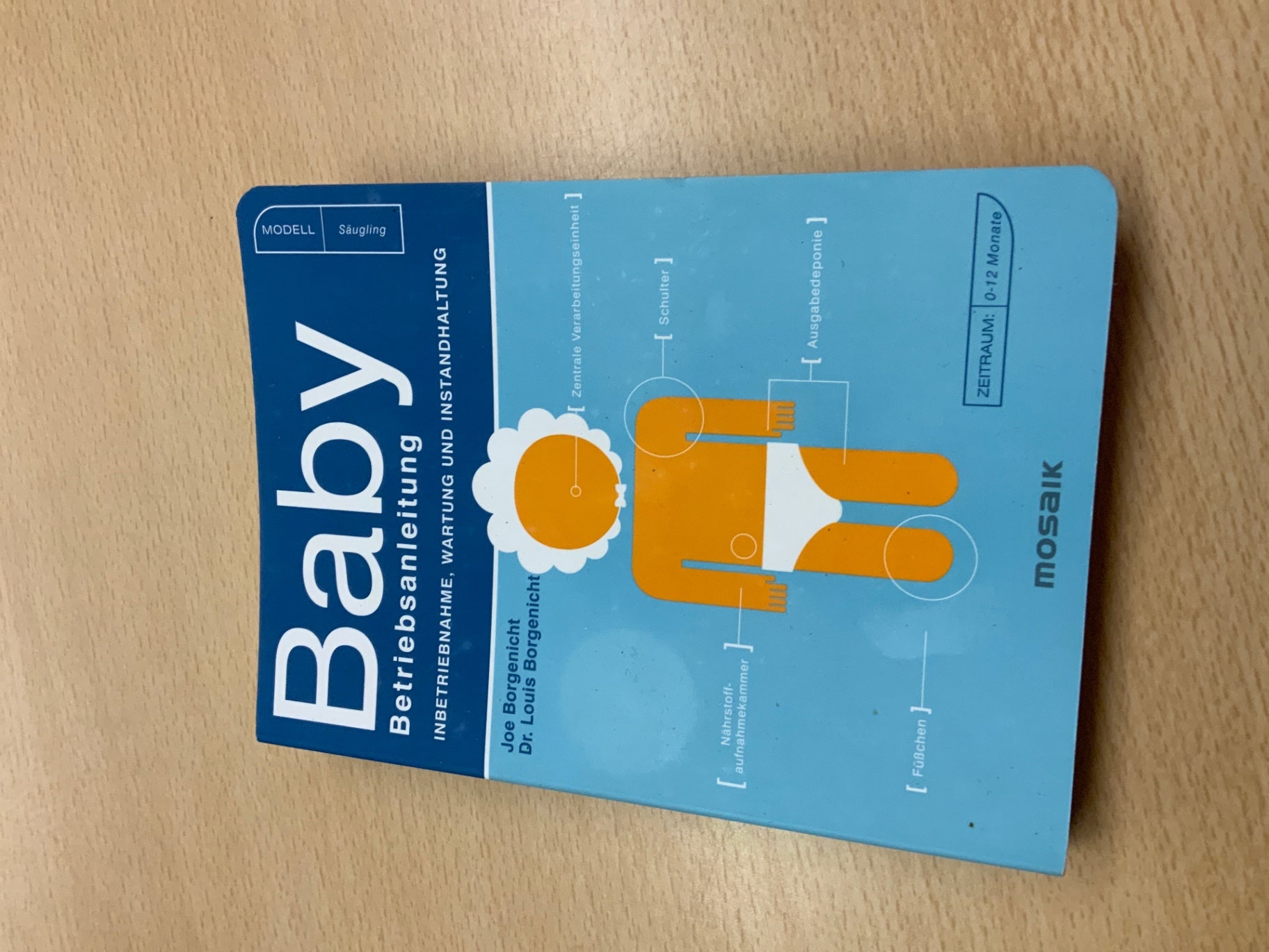 mosaik Buch Baby Betriebsanleitung Blau