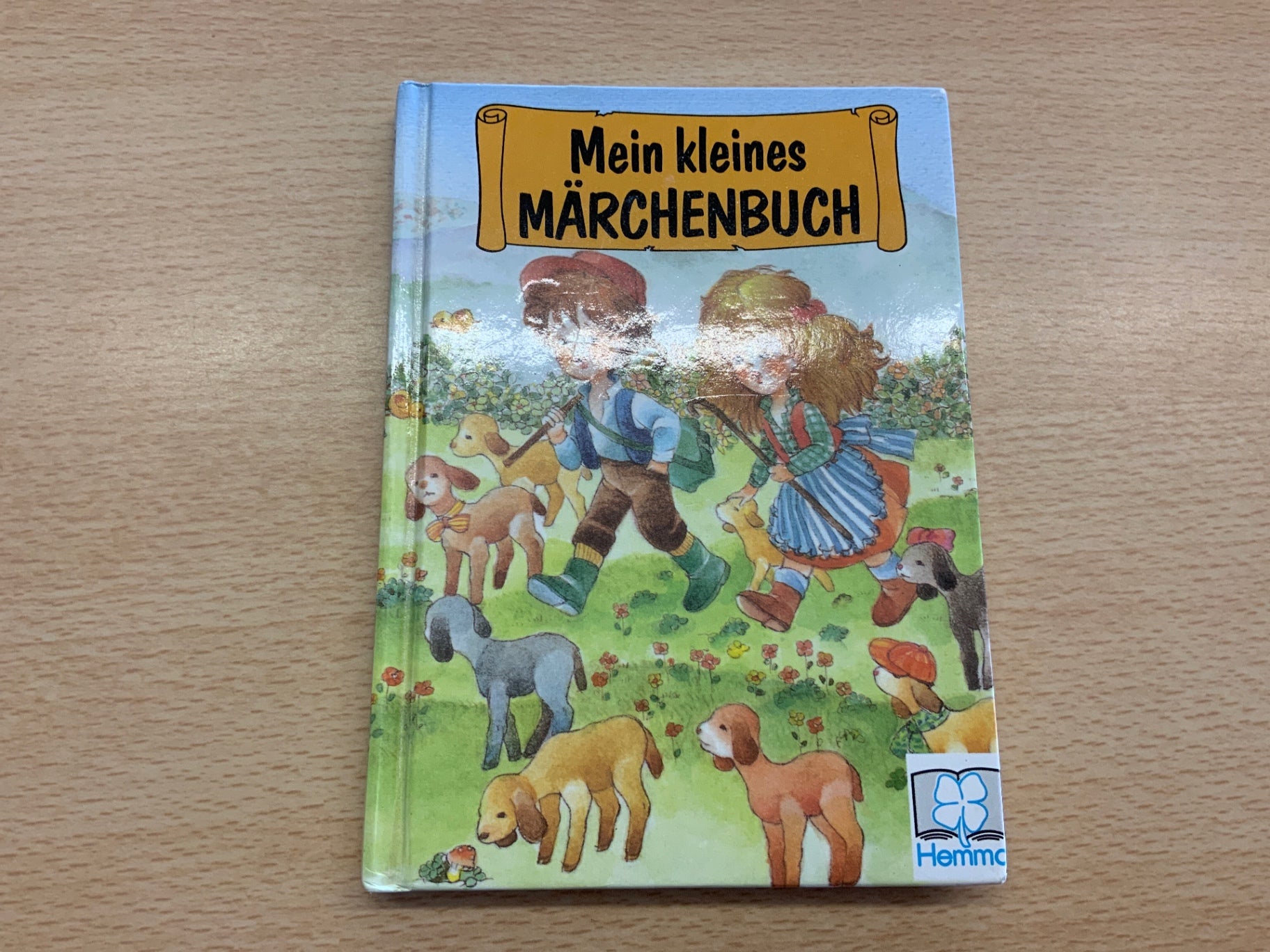 Hemmo Buch Grün und Blau