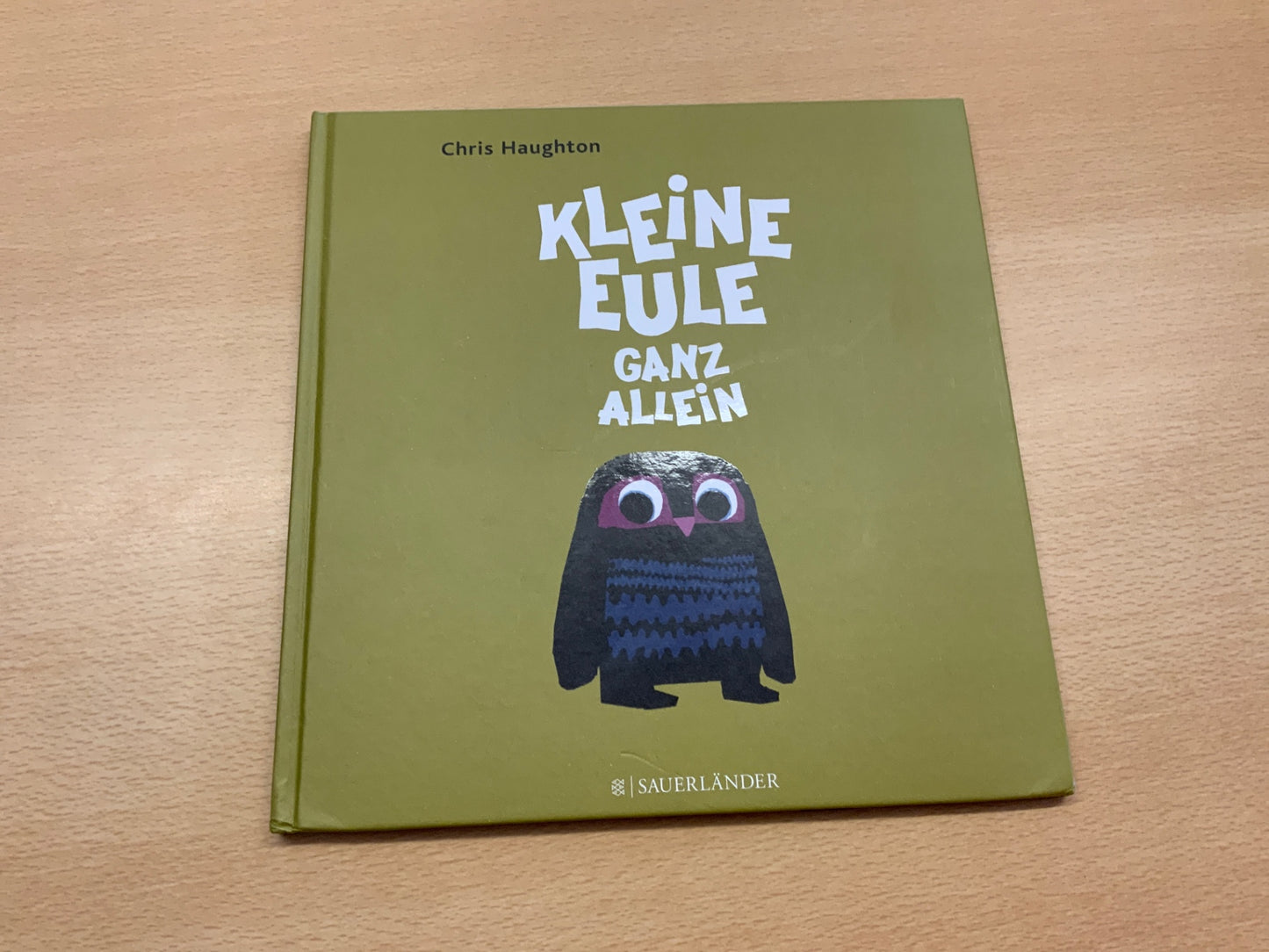 Sauerländer Kinderbuch Kleine Eule ganz allein Grün