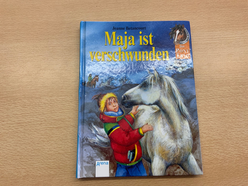 Buch Maja ist verschwunden Bunt