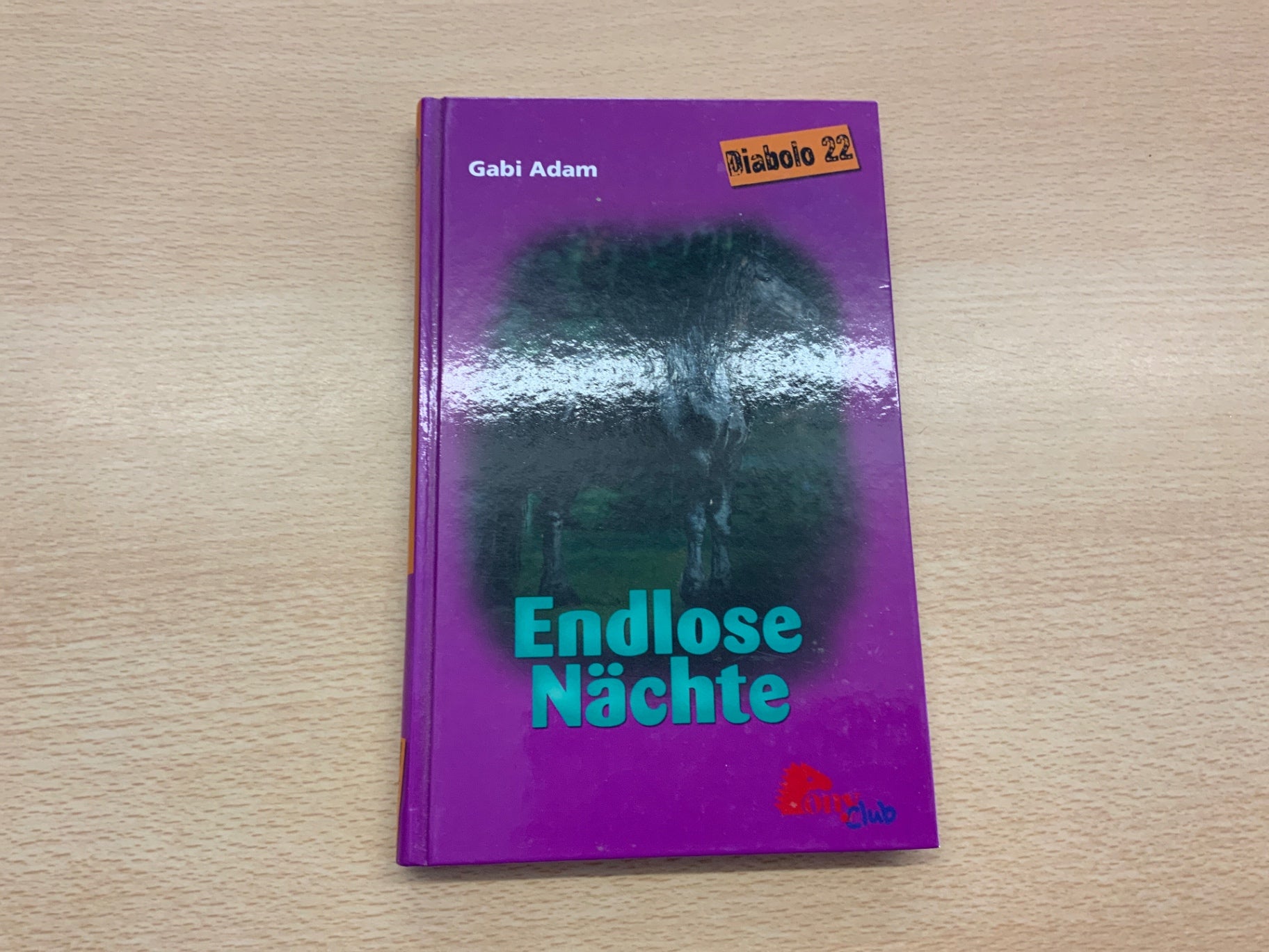 Roman endlose Nächte Lila und Blau