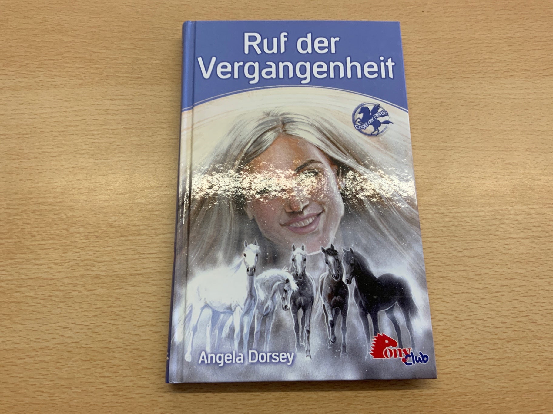 Buch Ruf der Vergangenheit Bunt