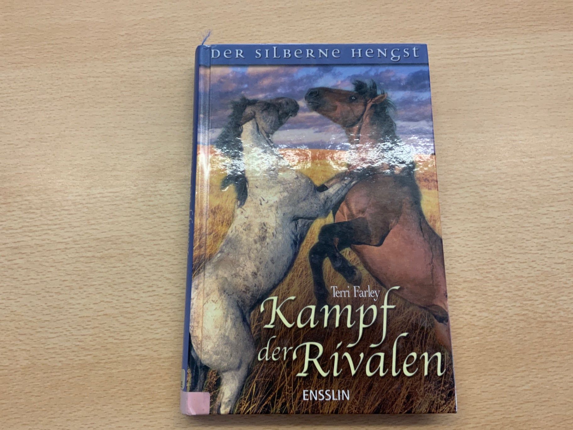 ENSSLIN Buch Kampf der Rivalen Bunt