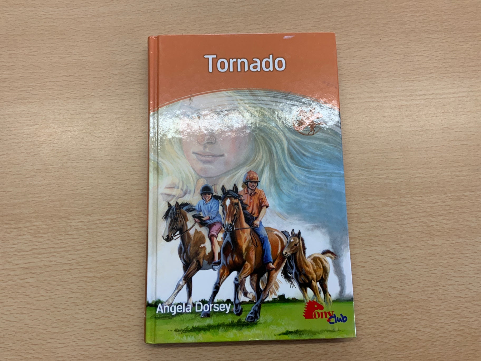 Pony Club Buch Tornado Bunt