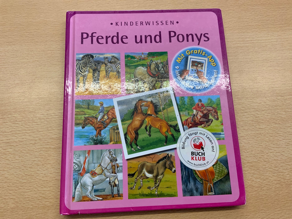 Kinderbuch Pferde und Ponys Lila
