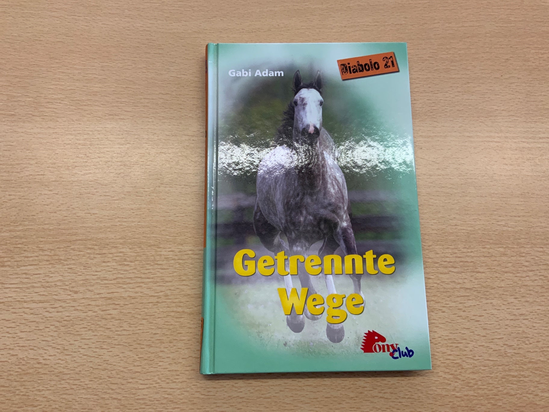 Pony Club Buch getrennte Wege Bunt