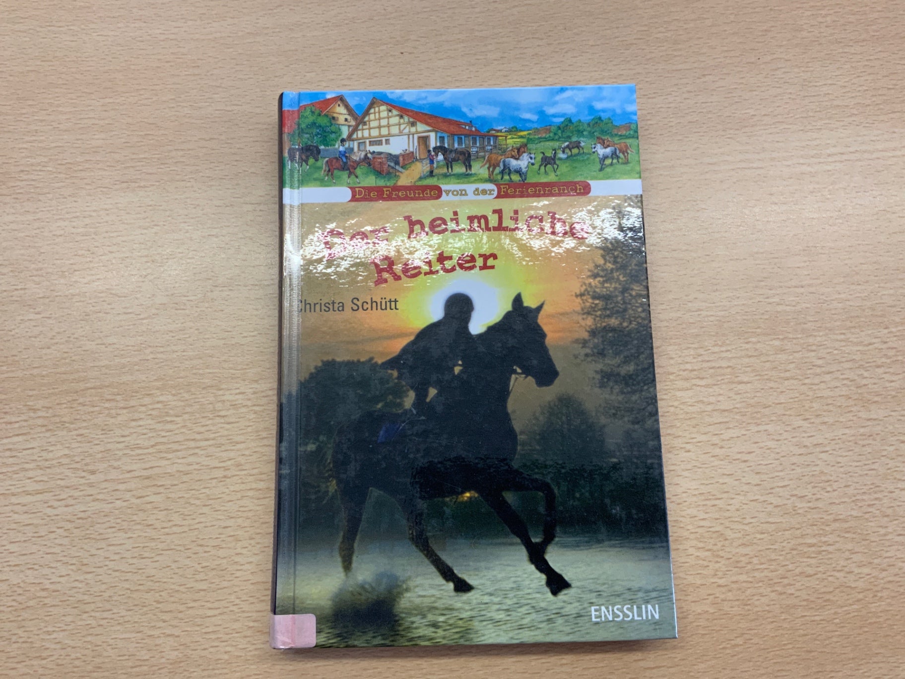 Ensslin Buch der heimliche Reiter Bunt