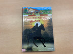 Ensslin Buch der heimliche Reiter Bunt