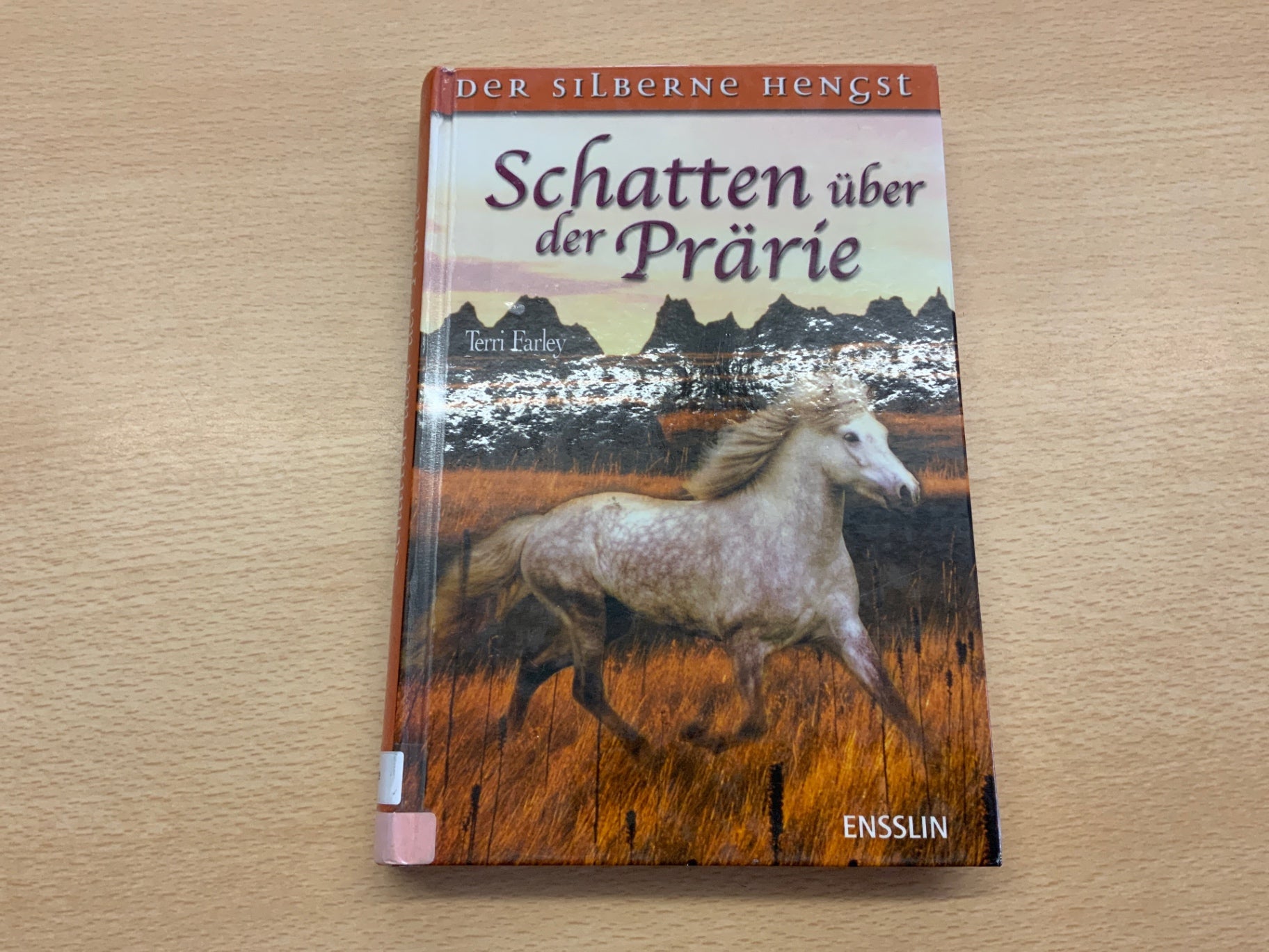 ENSSLIN Buch Schatten über der Prärie Mehrfarbig