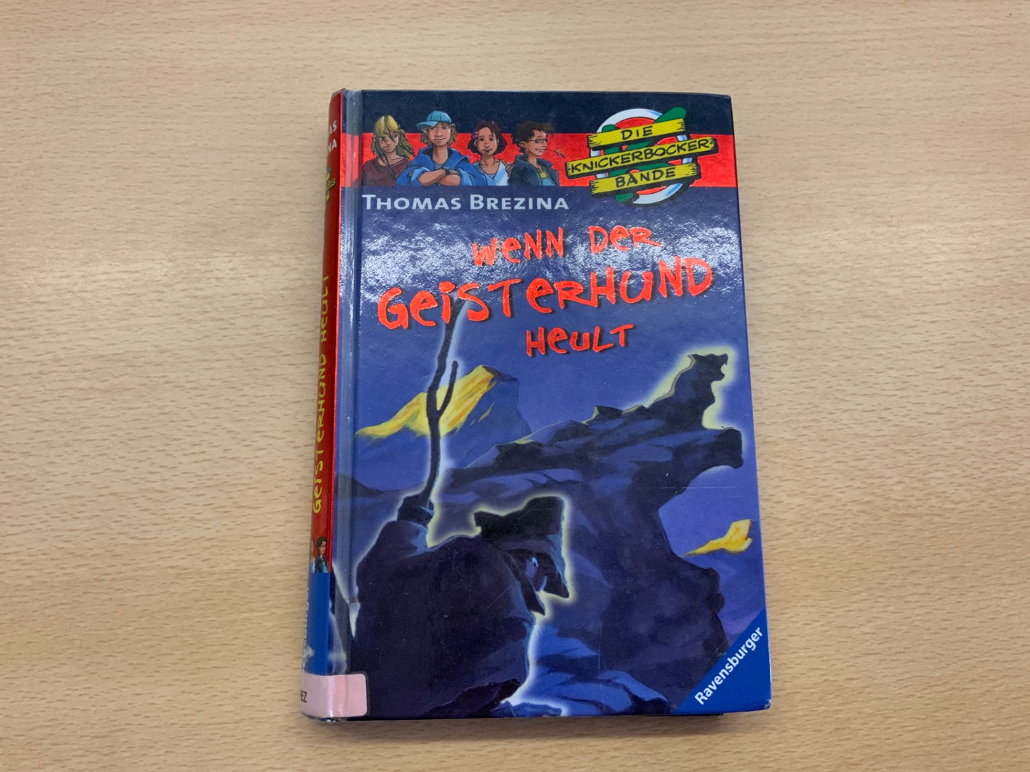 Ravensburger Buch wenn der Geisterhund heult Blau