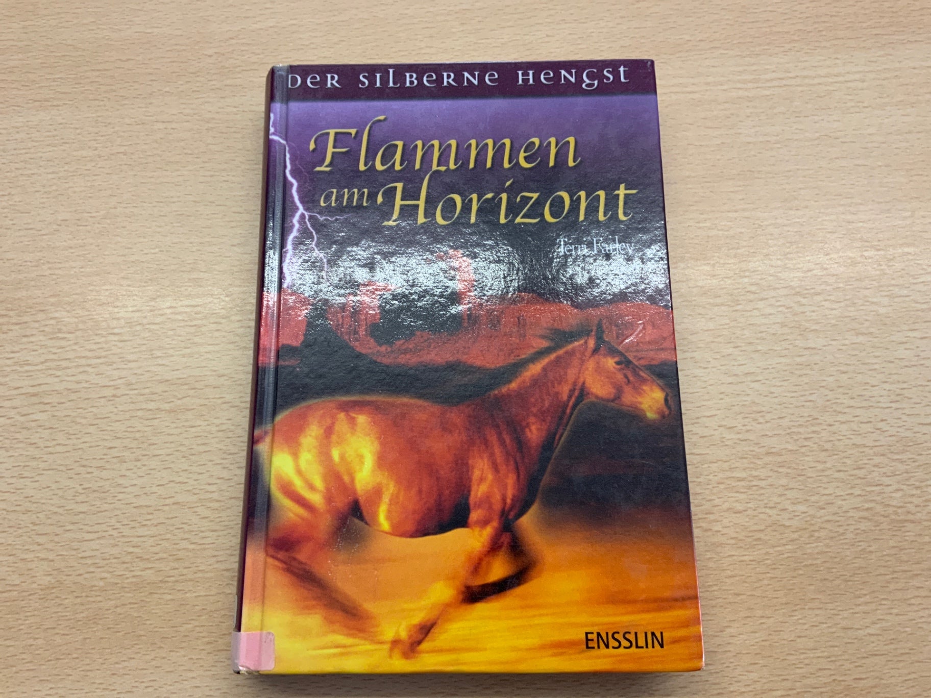 Buch Flammen am Horizont Bunt