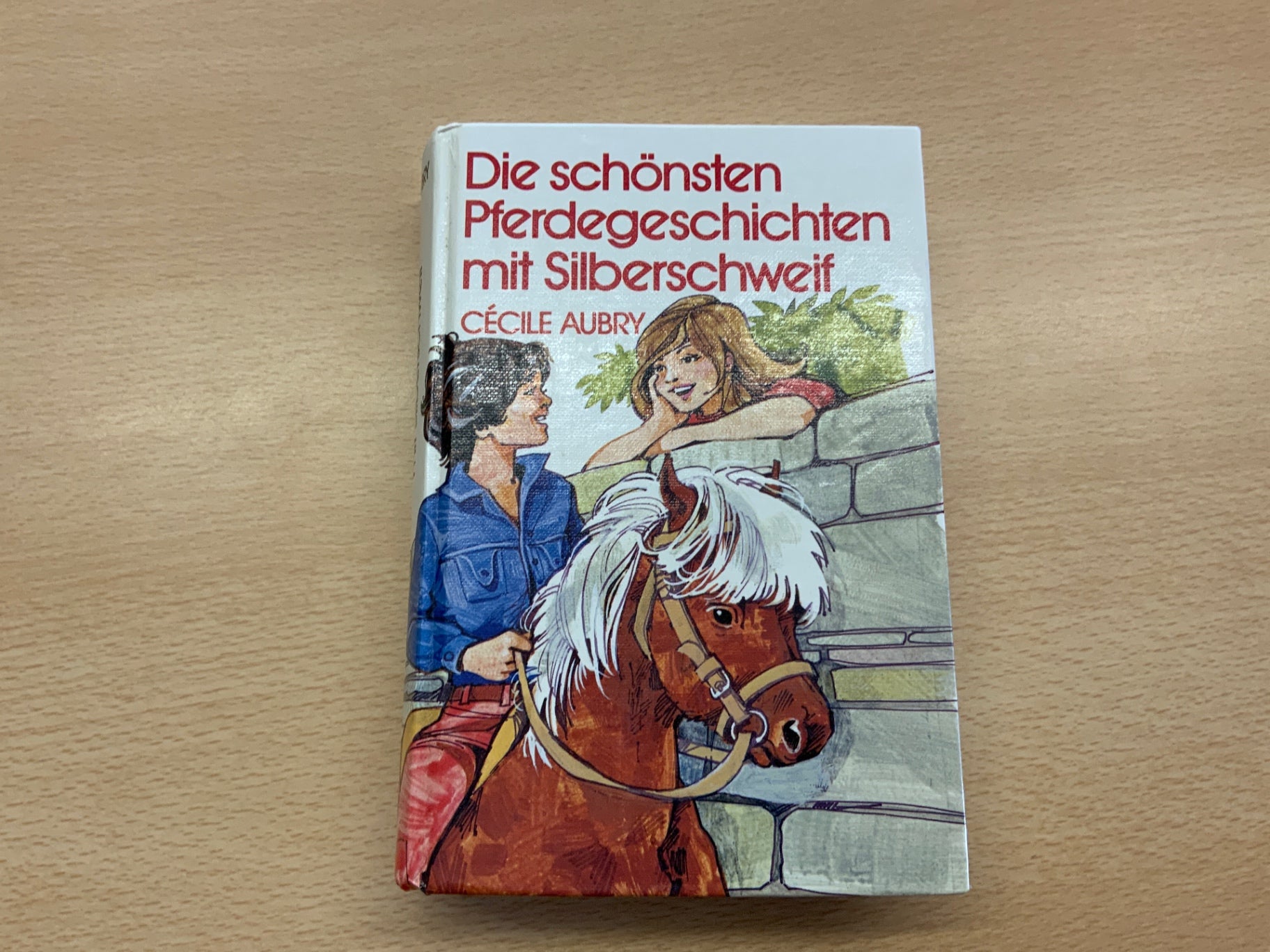Buch die schönsten Pferdegeschichten Mehrfarbig