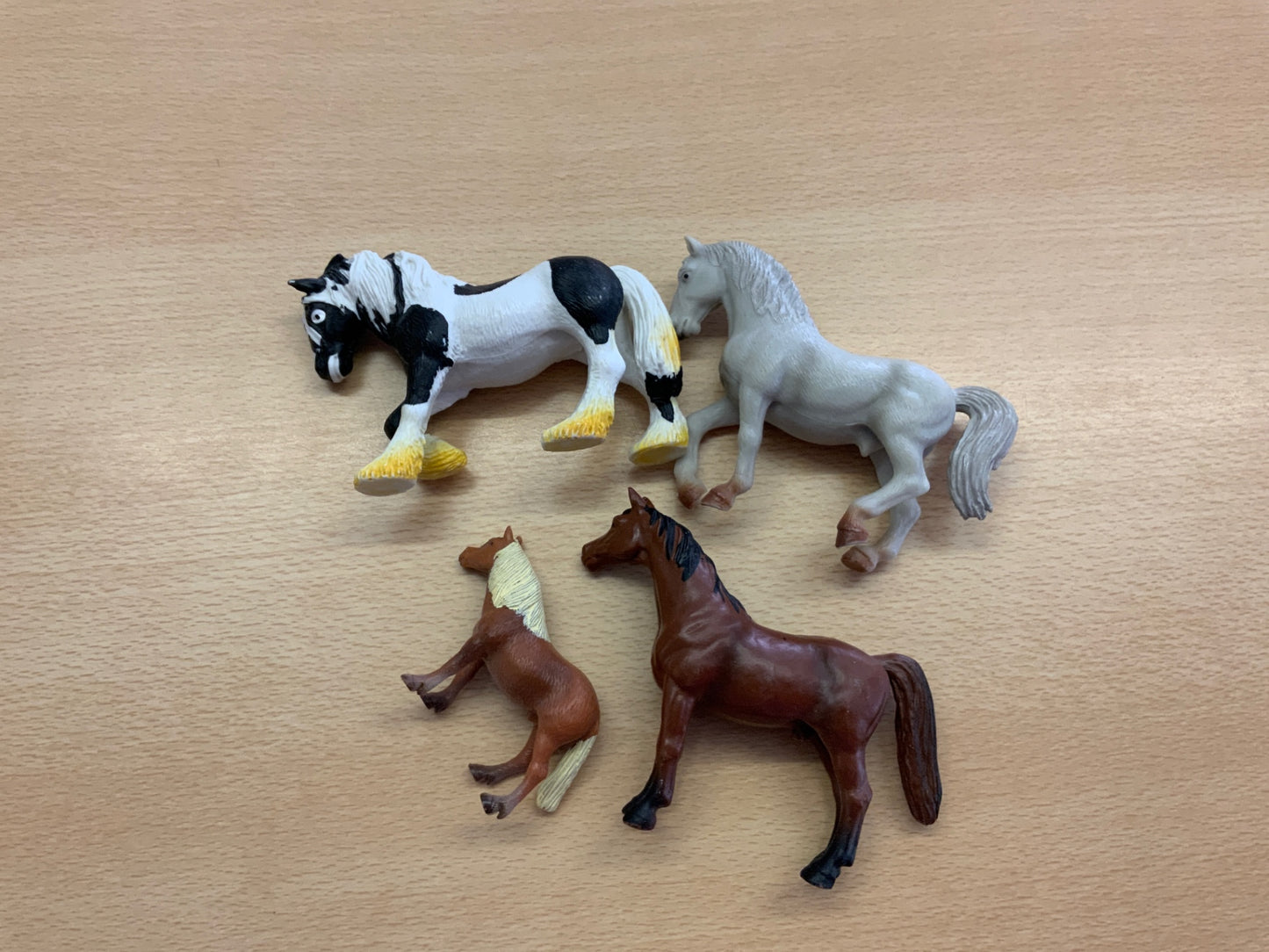  Pferde Verschiedene Farben