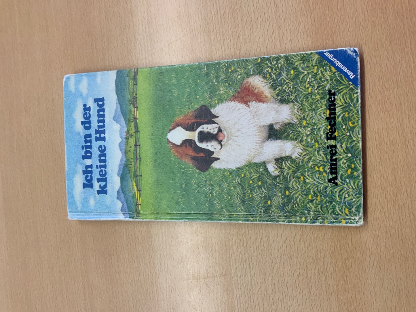 Ravensburger Kinderbuch Kleiner Hund Bunt