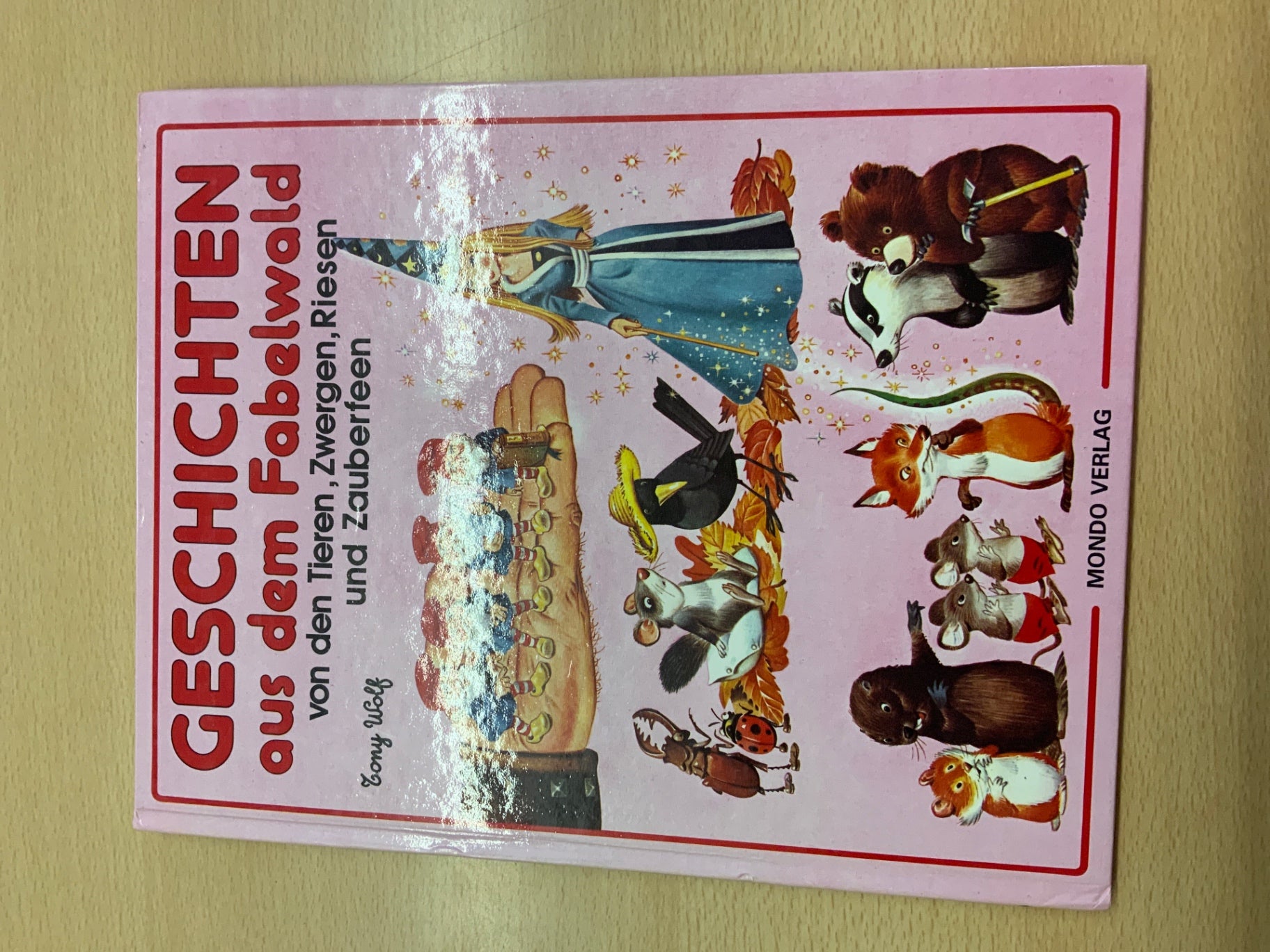 MONDO VERLAG Buch Geschichten aus dem Fabelwald Bunt