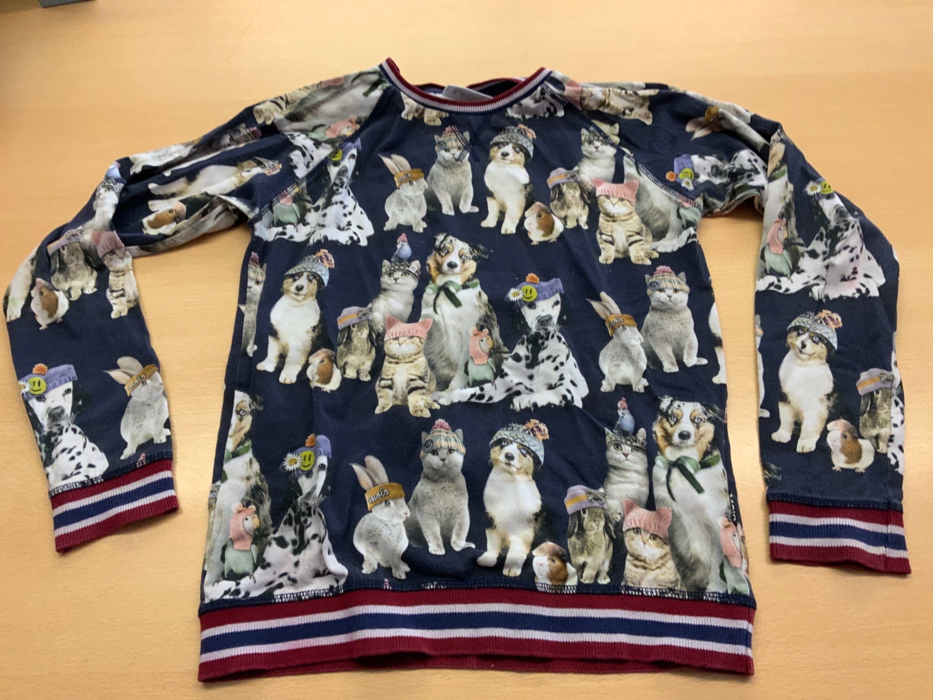Langarmshirt Bunt