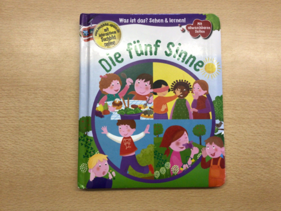 Buch die fünf Sinne Bunt