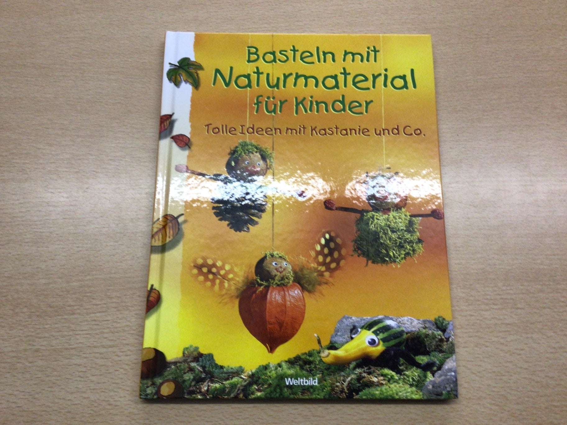 Weltbild Buch Basteln mit Naturmaterial für Kinder Bunt
