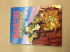 Buch Banchi der kleine Löwe Bunt